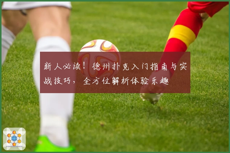 新人必读！德州扑克入门指南与实战技巧，全方位解析体验乐趣