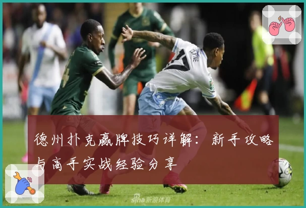 德州扑克赢牌技巧详解：新手攻略与高手实战经验分享