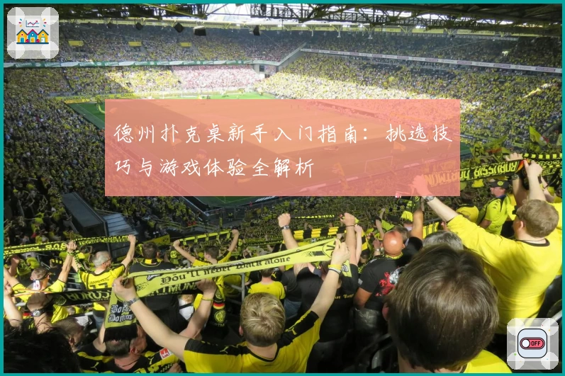 德州扑克桌新手入门指南：挑选技巧与游戏体验全解析