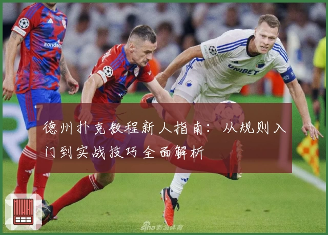 德州扑克教程新人指南：从规则入门到实战技巧全面解析