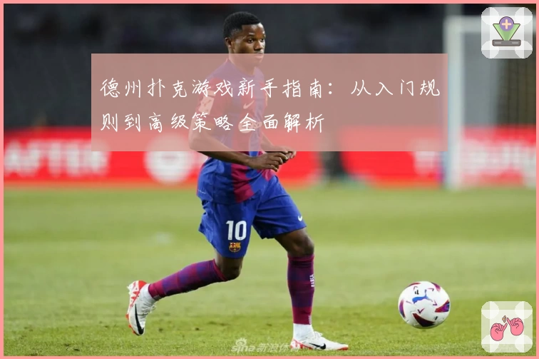 德州扑克游戏新手指南：从入门规则到高级策略全面解析