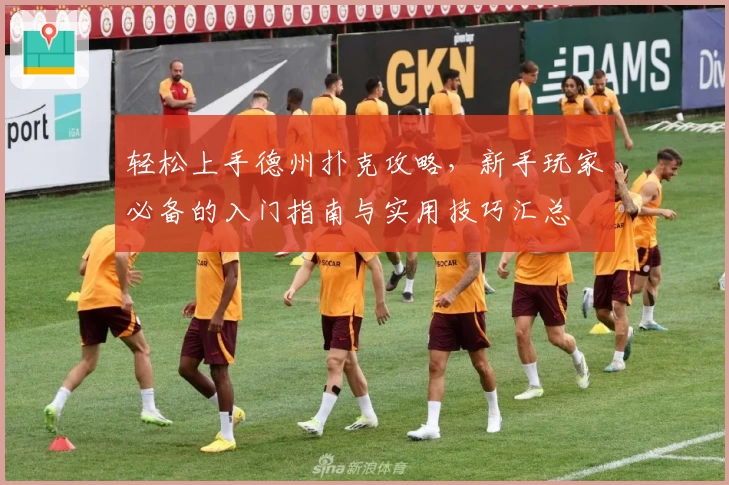 轻松上手德州扑克攻略，新手玩家必备的入门指南与实用技巧汇总