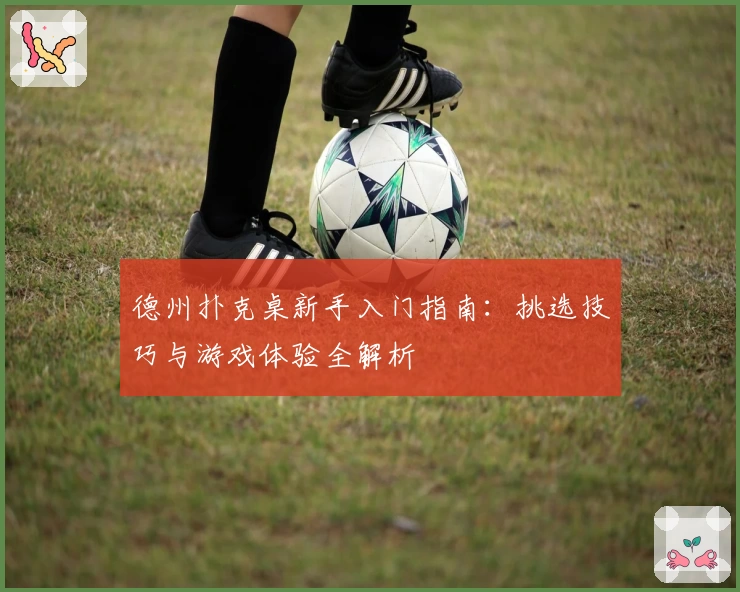 德州扑克桌新手入门指南：挑选技巧与游戏体验全解析