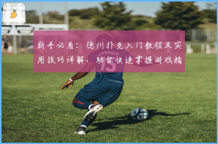 新手必看：德州扑克入门教程及实用技巧详解，助你快速掌握游戏精髓