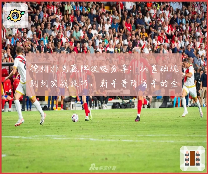 德州扑克赢牌攻略分享：从基础规则到实战技巧，新手晋阶高手的全方位指南