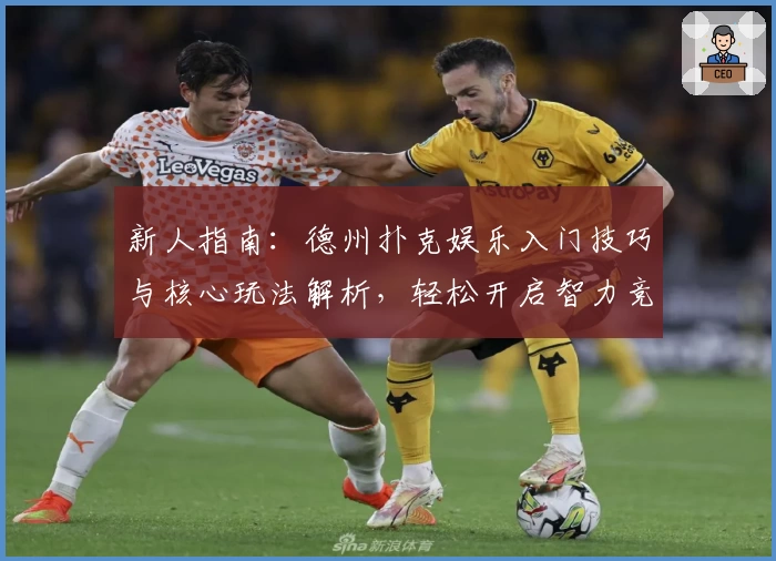 新人指南：德州扑克娱乐入门技巧与核心玩法解析，轻松开启智力竞技之旅